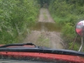 Water Crossing With A Container