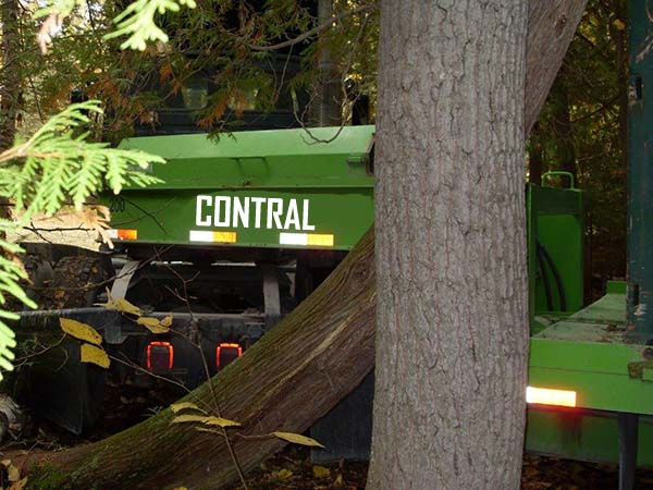 Tight Spaces-A Container in the Bush